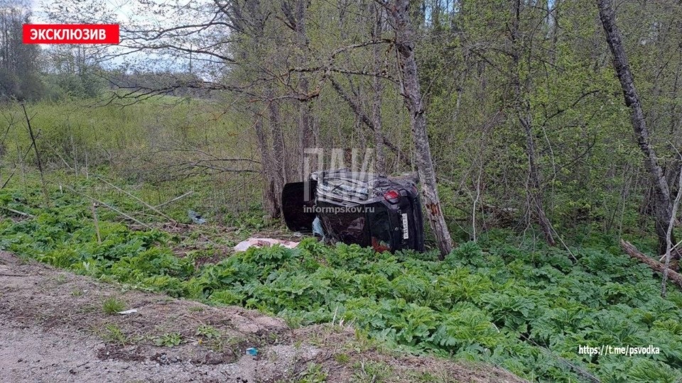Водитель иномарки погиб в результате ДТП в Стругокрасненском районе Водитель иномарки погиб в результате ДТП в Стругокрасненском районе
