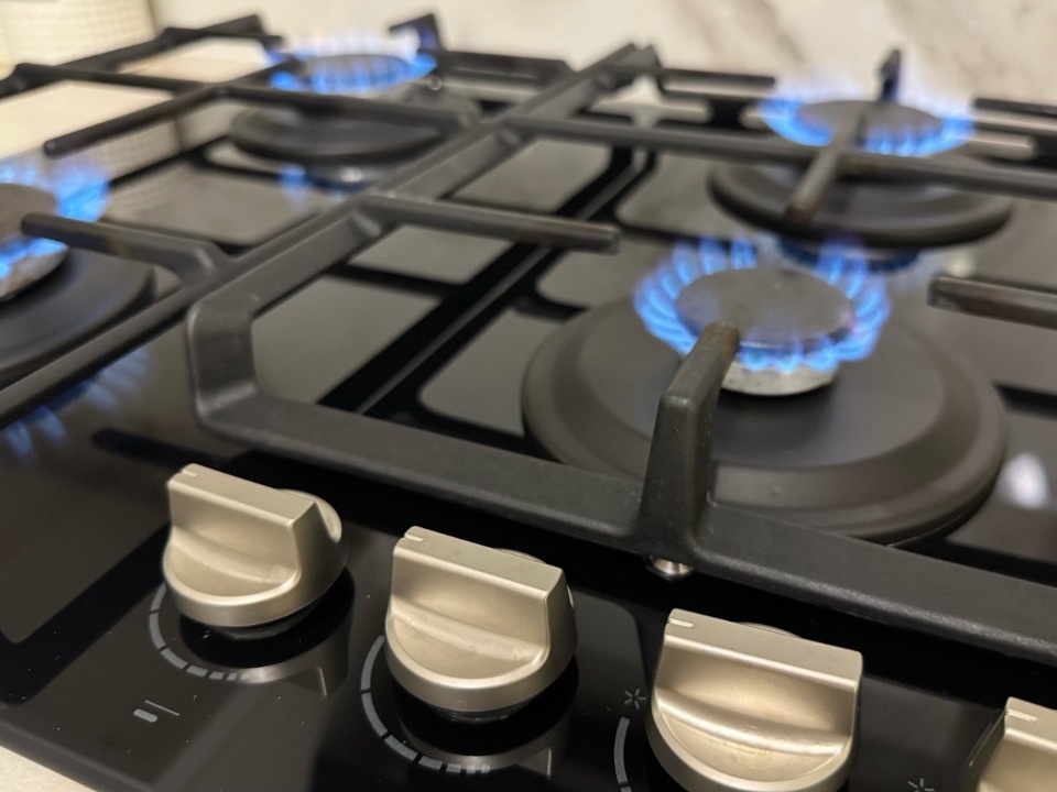 Псковичам напомнили о правилах газовой безопасности в весенний период