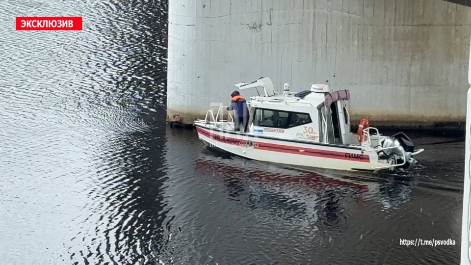 Мужчина упал с моста 50-летия Октября в Пскове 