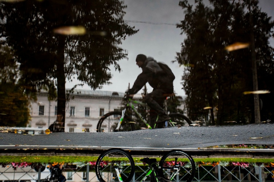 До +19 градусов прогреется воздух в Псковской области 19 мая