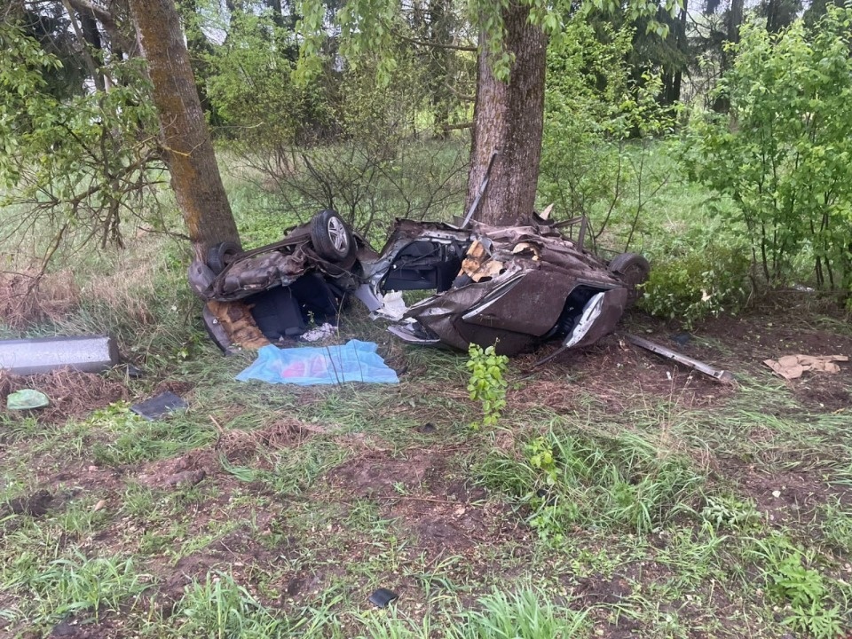 Два человека погибли и семь пострадали на псковских дорогах за неделю