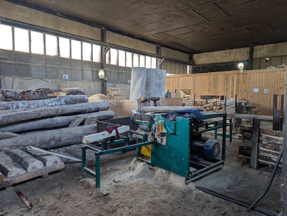 В Новоржевском районе работник лесопилки получил травму головы