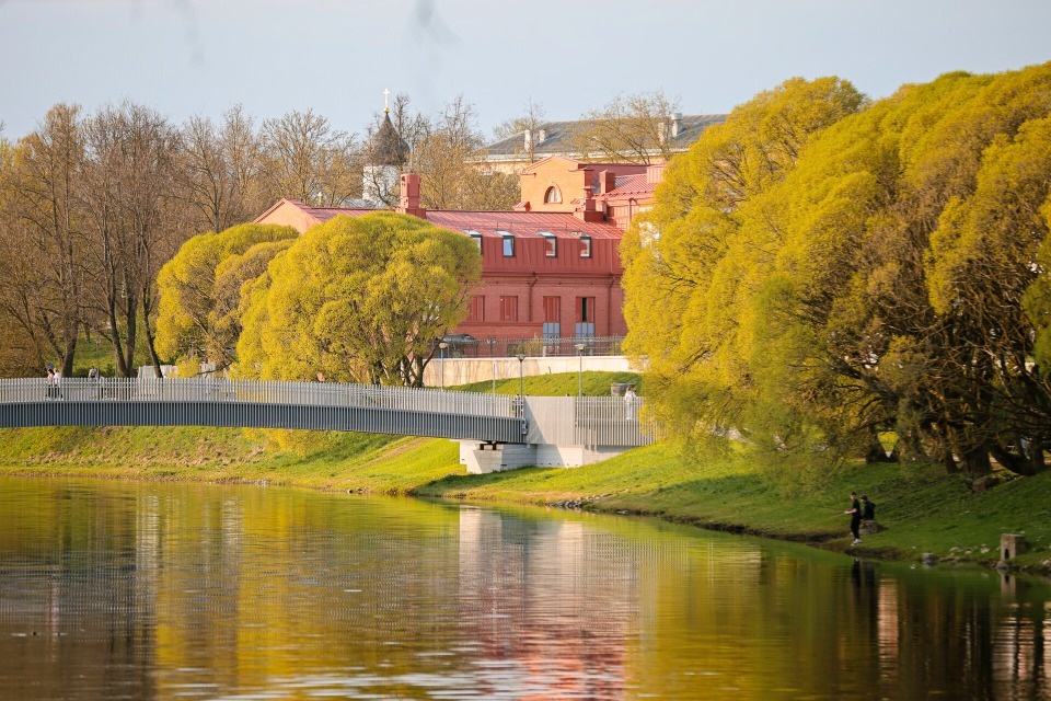 До +24 градусов прогреется воздух в Псковской области 22 мая