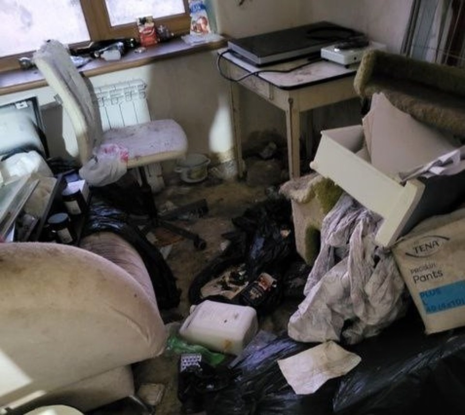 Полиция изъяла из квартиры на Запсковье в Пскове трупы девяти котов