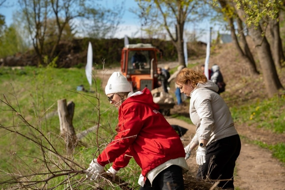 В Псковской области зарегистрировано порядка 20 тысяч волонтеров