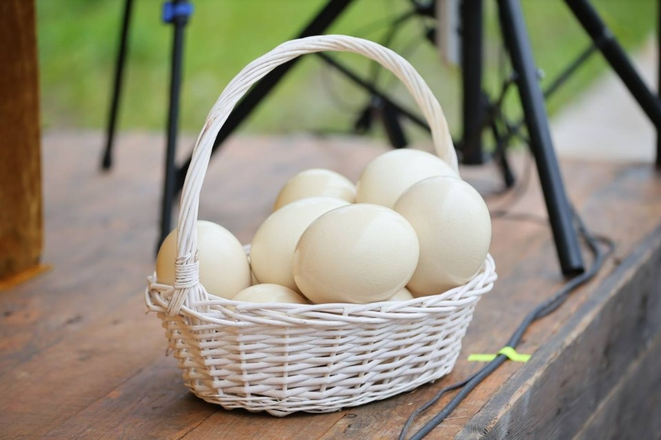 Дело в яйце