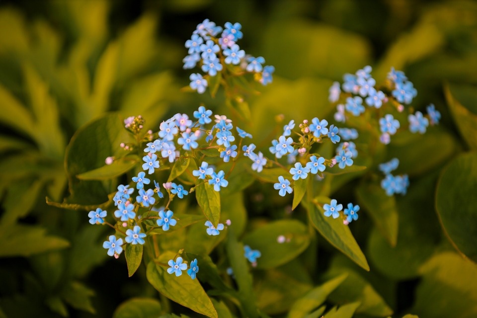 Кратковременные дожди ожидаются в Псковской области 26 мая Кратковременные дожди ожидаются в Псковской области 26 мая
