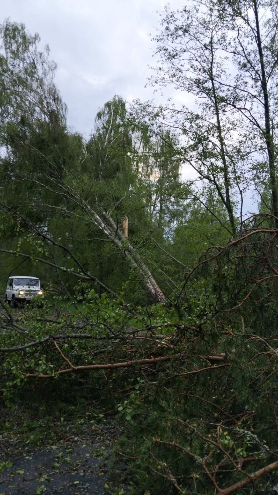 100 населенных пунктов остались без света из-за непогоды в Себежском районе