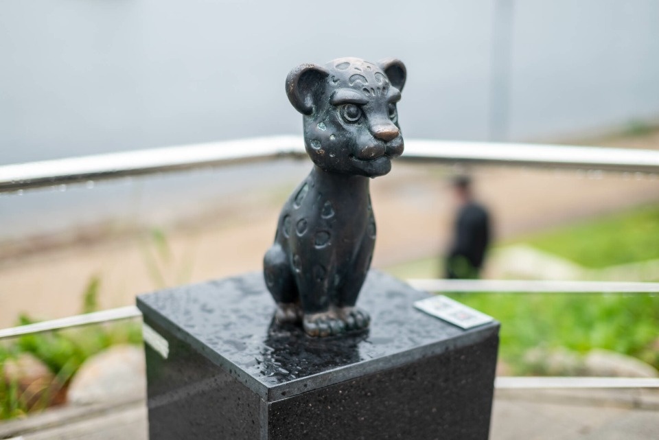 Появятся ли в Пскове новые барсики, рассказал Борис Елкин