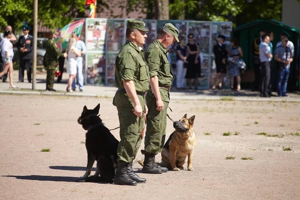 Псковский губернатор поздравил пограничников с профессиональным праздником