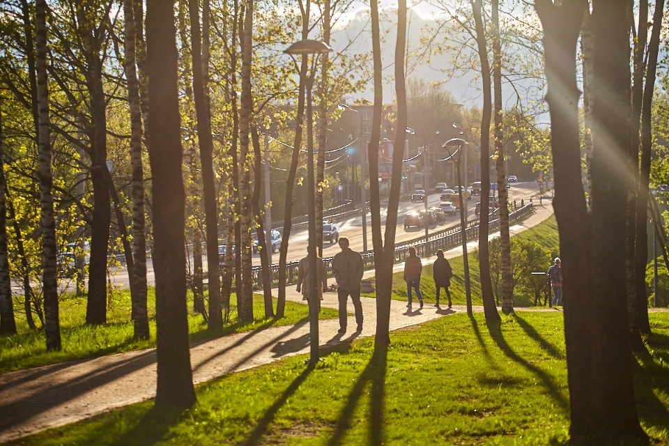 До +22 градусов ожидается в Псковской области 29 мая 