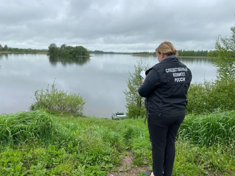 Проверка по факту гибели мужчины проводится в Палкинском районе 