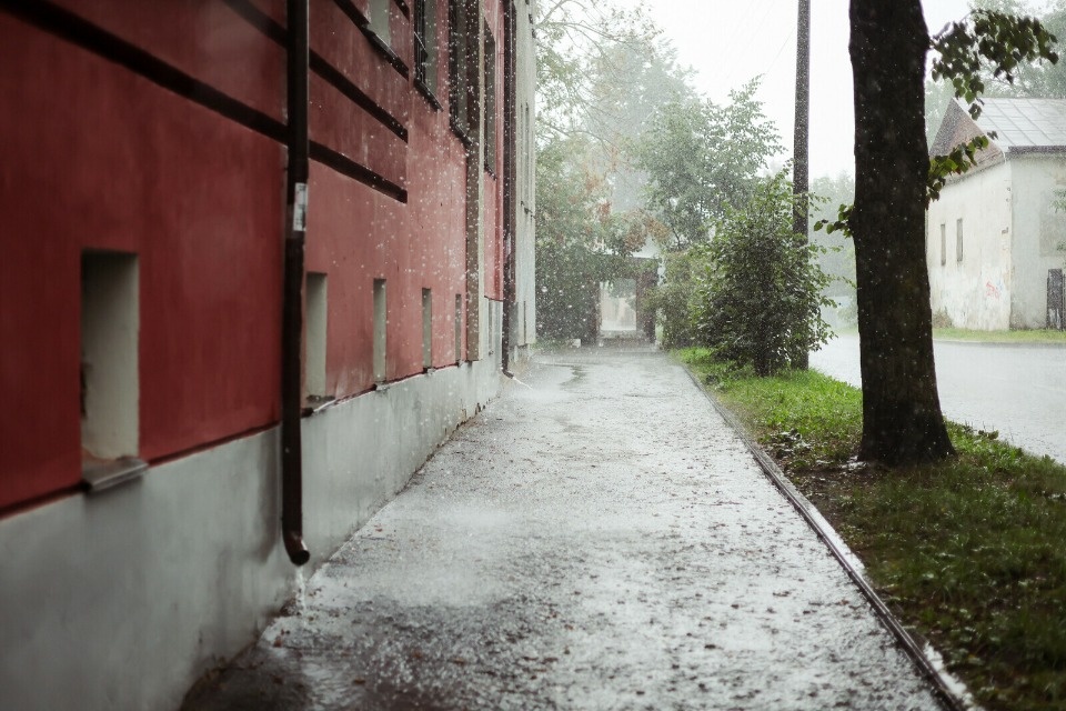 До +23 градусов ожидается в Псковской области 30 мая