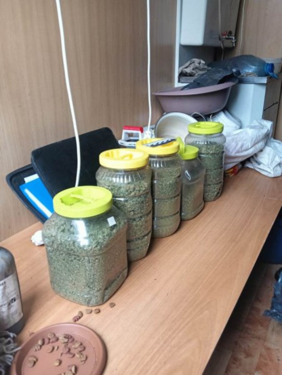 В Великих Луках мужчина выращивал коноплю в бытовках В Великих Луках мужчина выращивал коноплю в бытовках