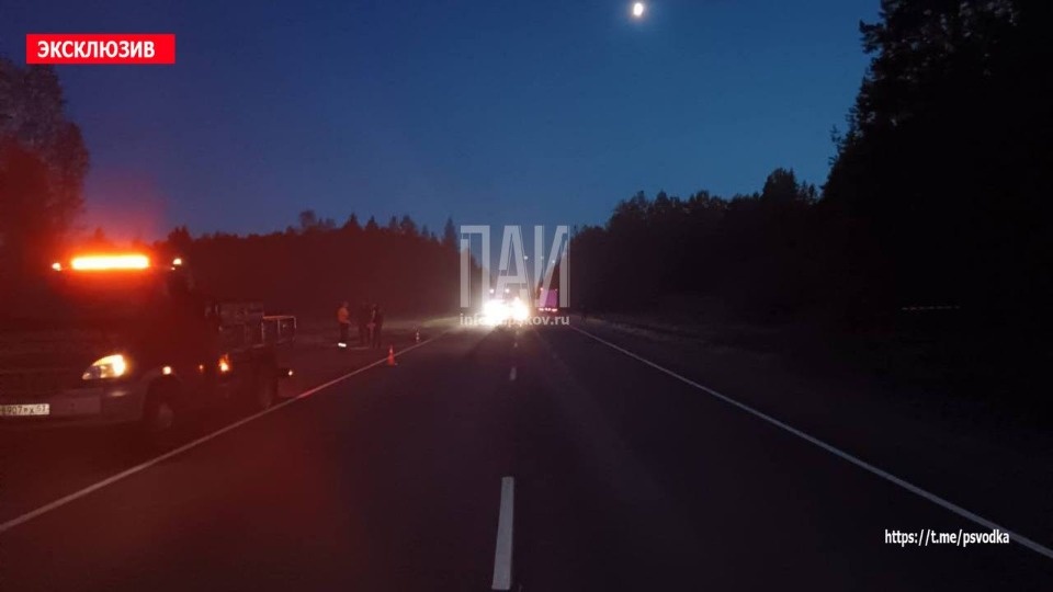 ДТП с большегрузом и лосем произошло в Стругокрасненском районе ДТП с большегрузом и лосем произошло в Стругокрасненском районе