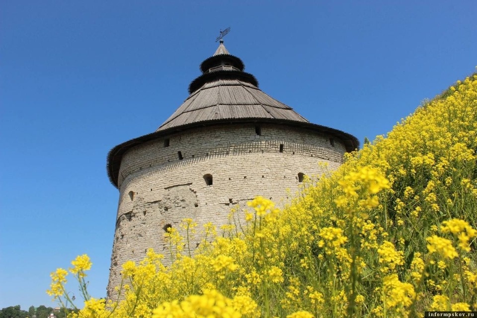 На стене Окольного города в Пскове проведут противоаварийные работы На стене Окольного города в Пскове проведут противоаварийные работы
