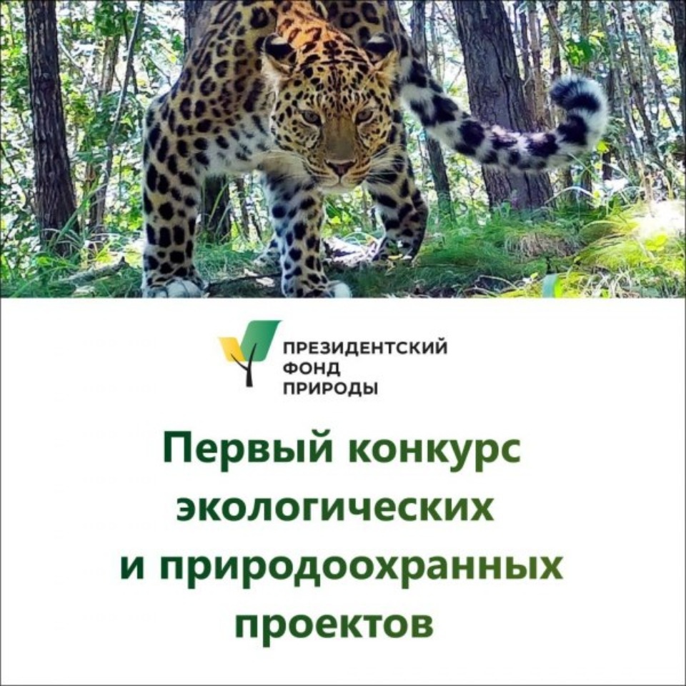 В финал конкурса Президентского фонда природы прошли три псковских экопроекта В финал конкурса Президентского фонда природы прошли три псковских экопроекта