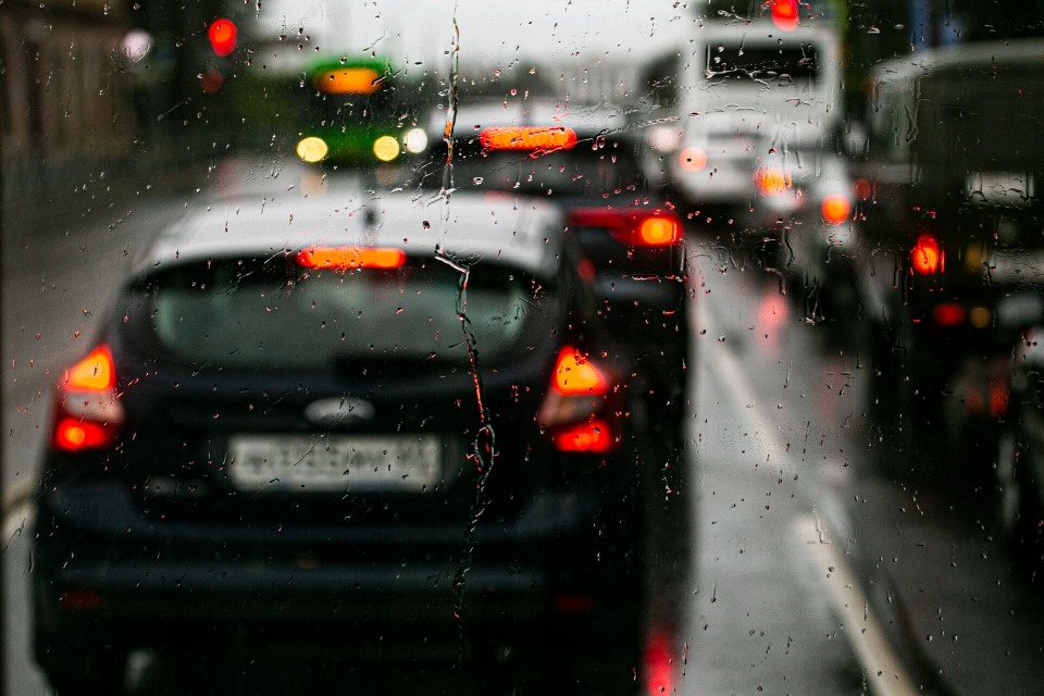 До +19 градусов прогреется воздух в Псковской области 10 июня