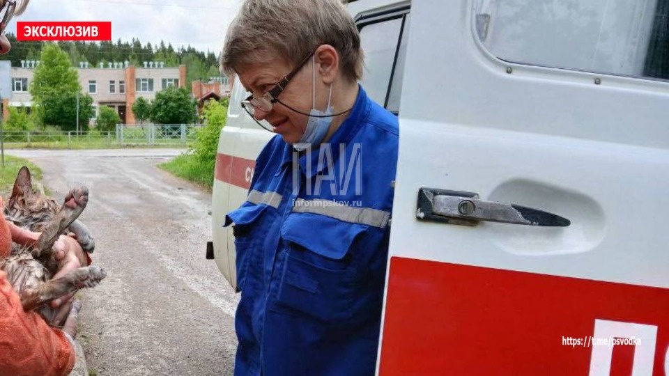 Кота спасли на пожаре в Плюссе 