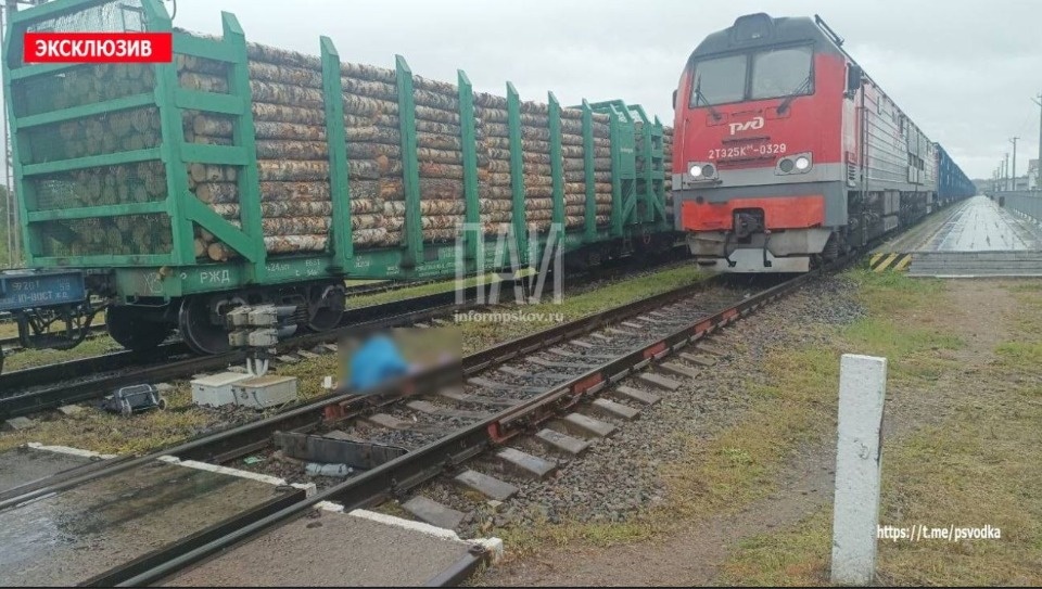 Проверку по факту сбитой поездом женщины проводят в Бежаницком районе 