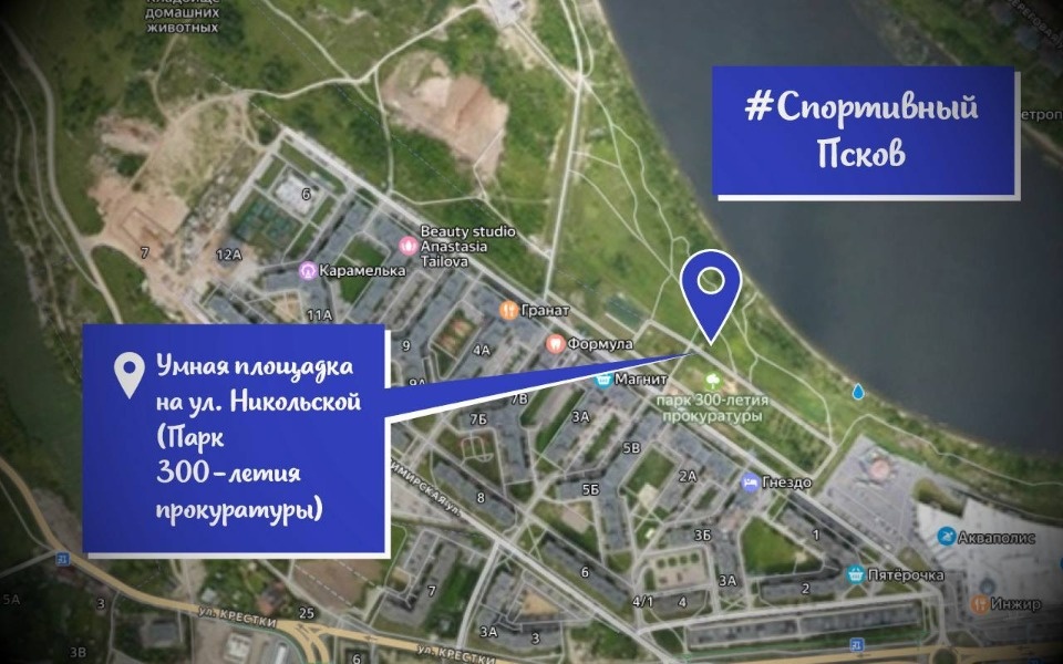 Псковичей приглашают на бесплатные занятия спортом Псковичей приглашают на бесплатные занятия спортом