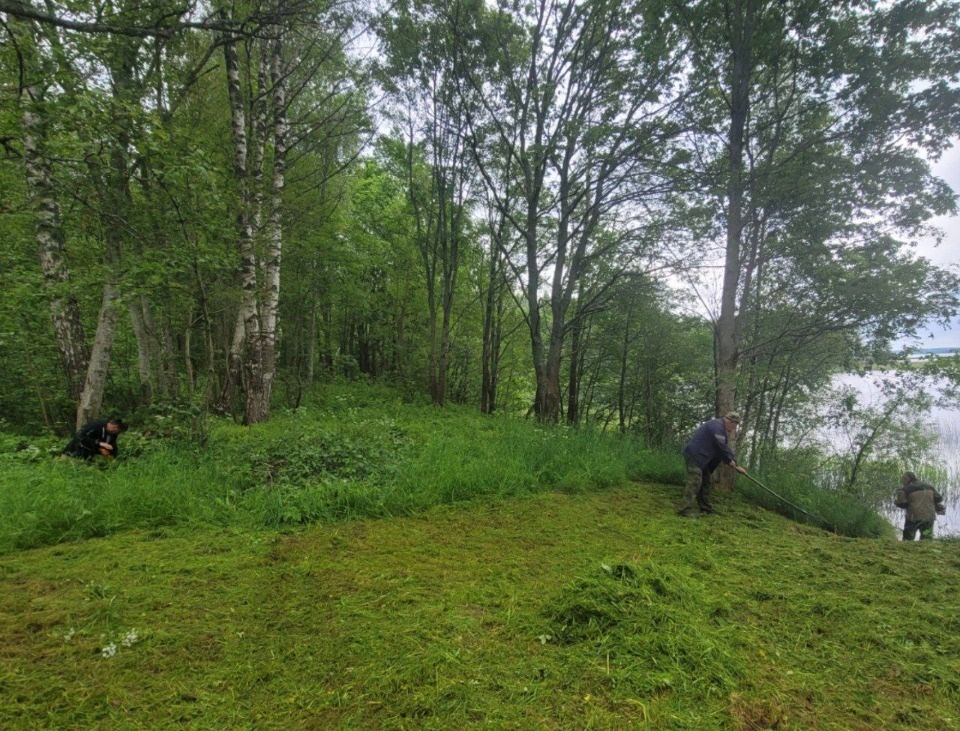 К подъему советского самолета в Невельском районе готовятся поисковики