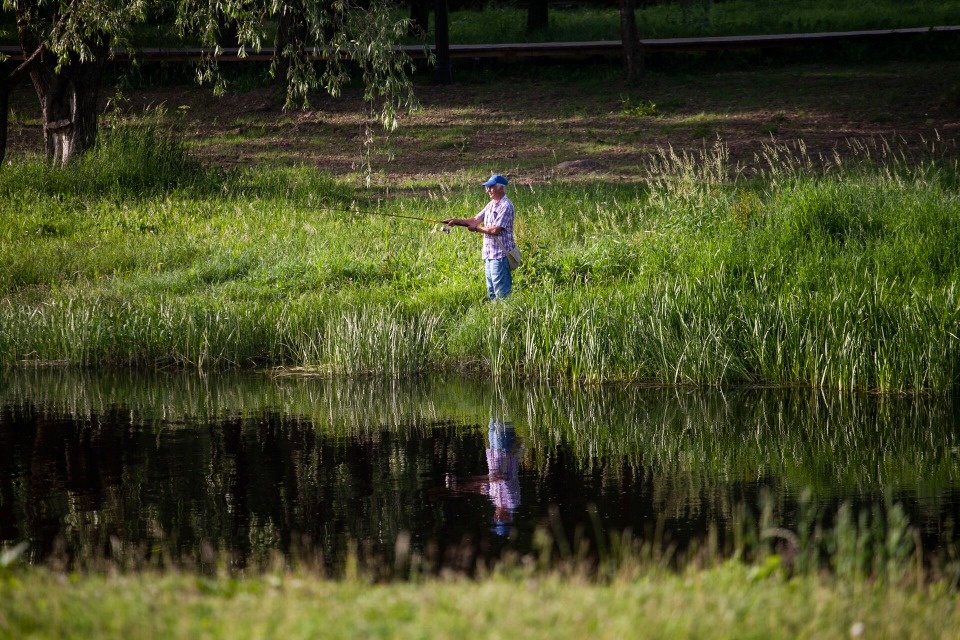 До +27 градусов прогреется воздух в Псковской области 16 июня