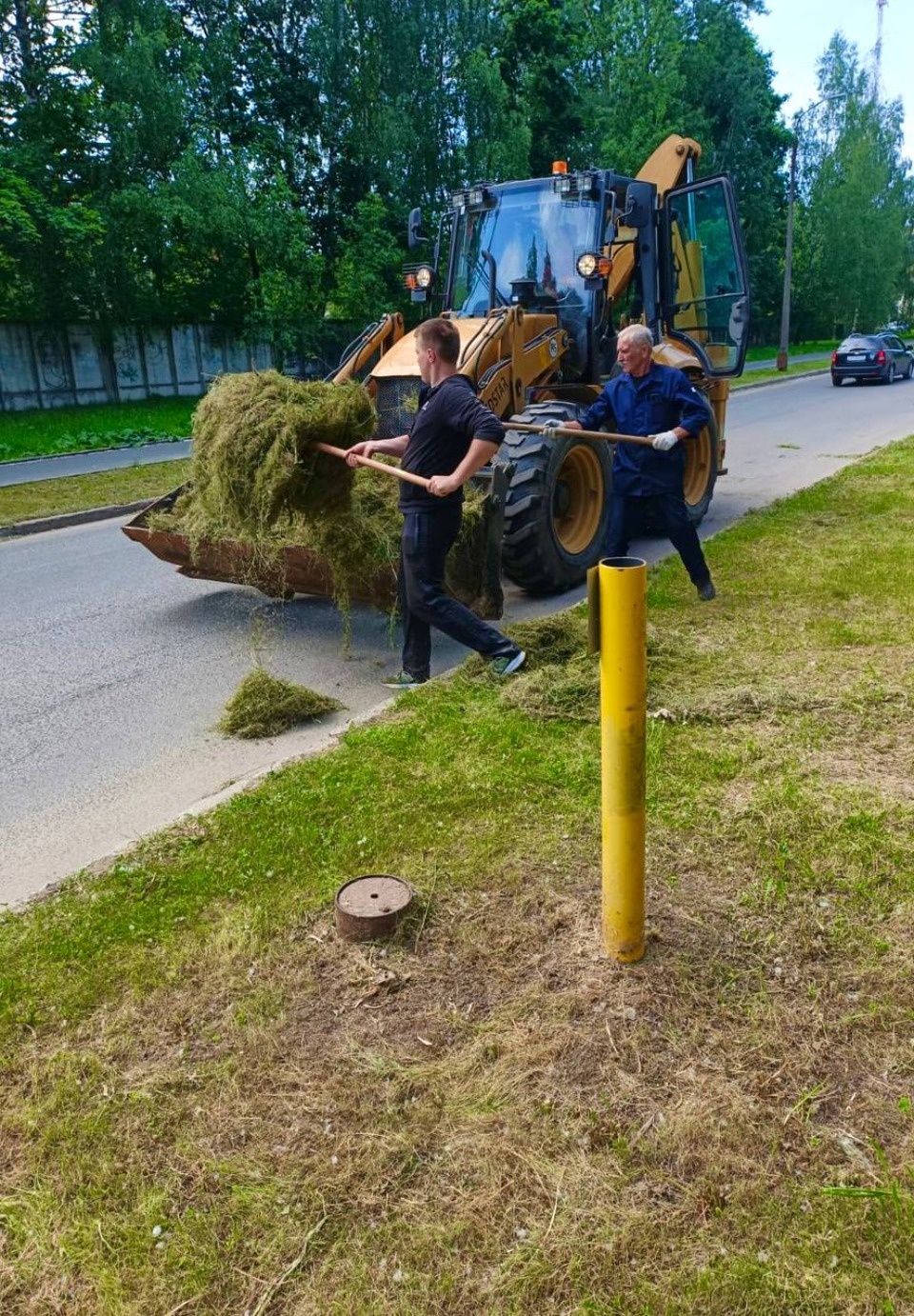 Парковые и дорожные службы Пскова в усиленном режиме занимаются покосом травы