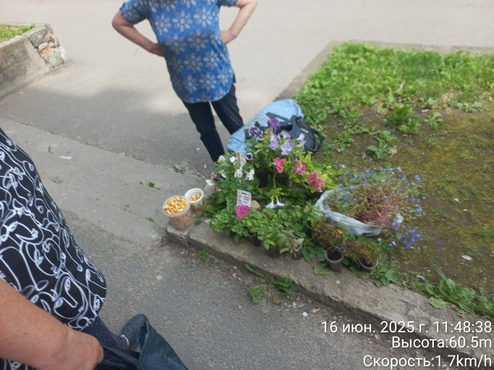 Шесть случаев незаконной уличной торговли выявили в Пскове