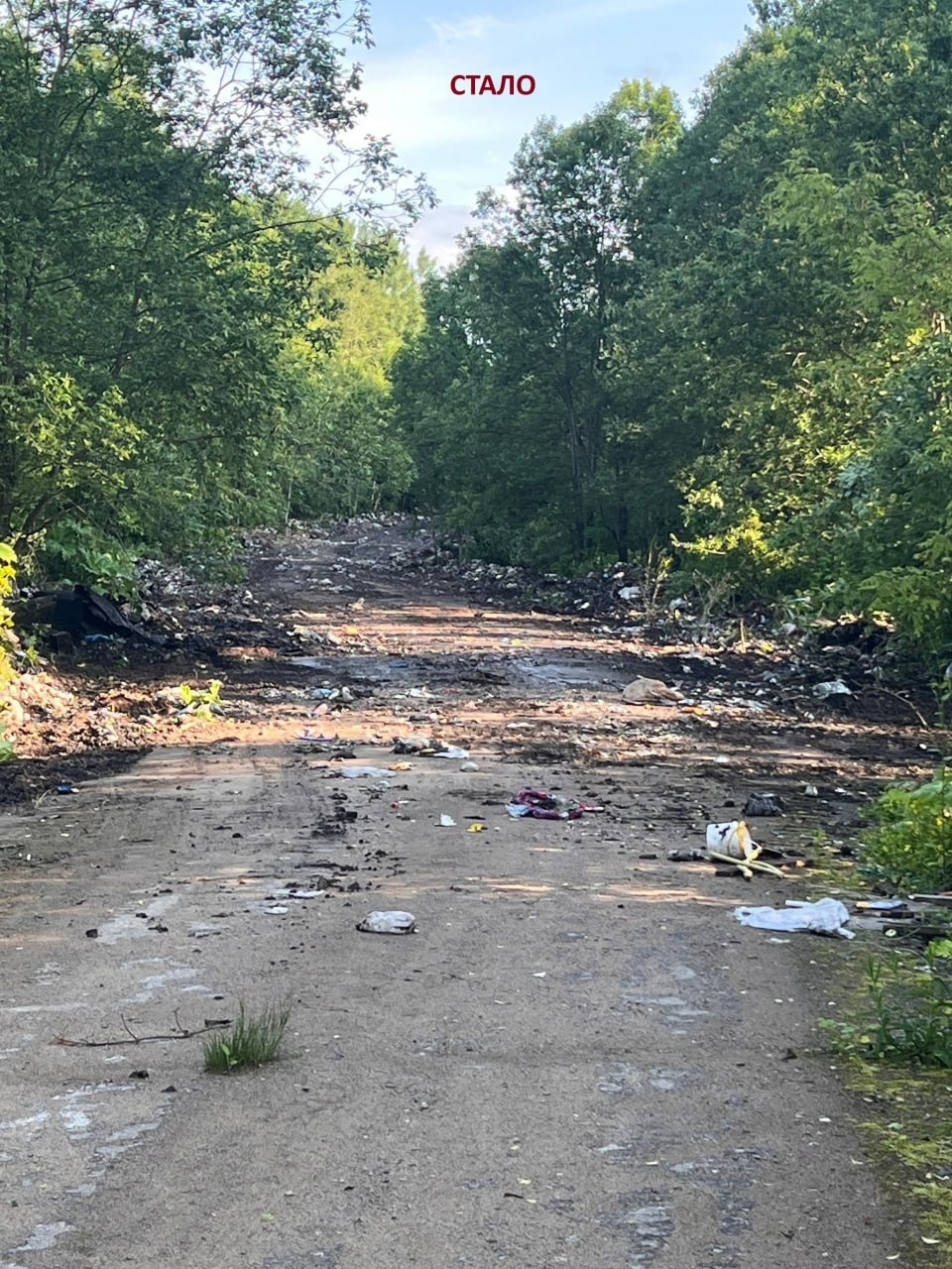 Свалку у мусорного полигона в Гдовском районе уберут в течение недели