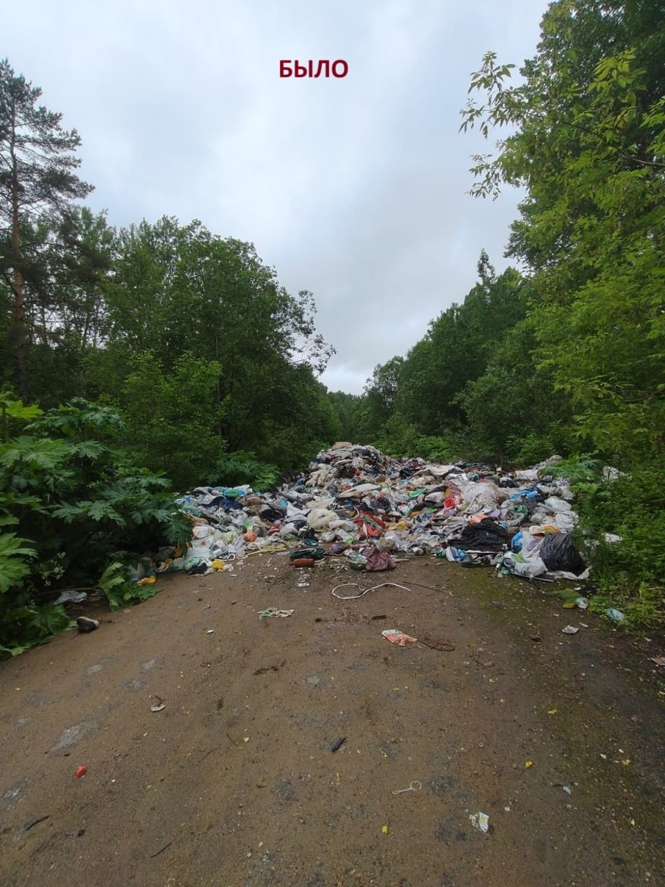 Свалку у мусорного полигона в Гдовском районе уберут в течение недели