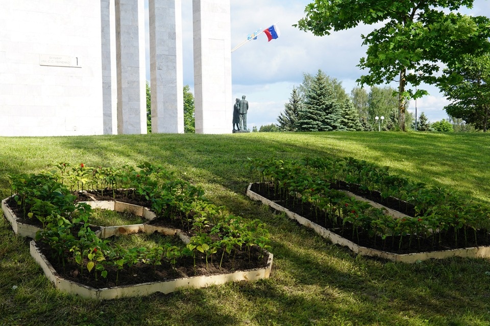 Новый цветник появился у Научно-культурного центра в Пушкинских Горах