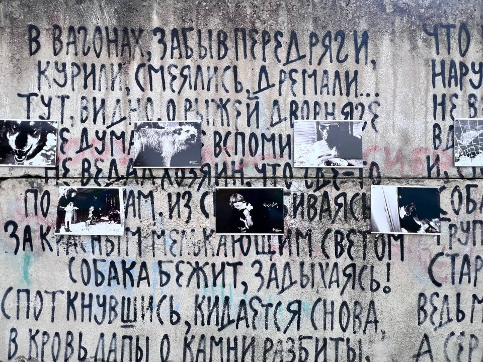 «Коридор» добра «Коридор» добра