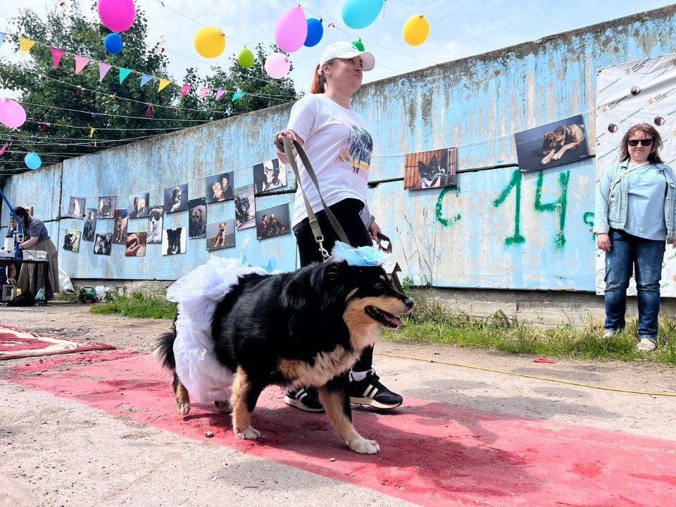 «Коридор» добра «Коридор» добра