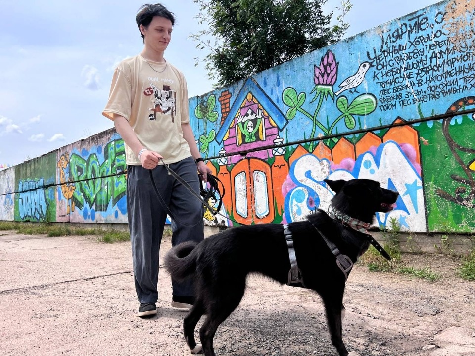 «Коридор» добра «Коридор» добра