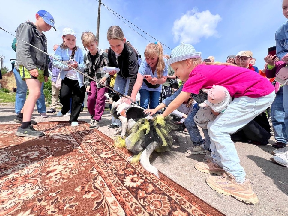 «Коридор» добра «Коридор» добра