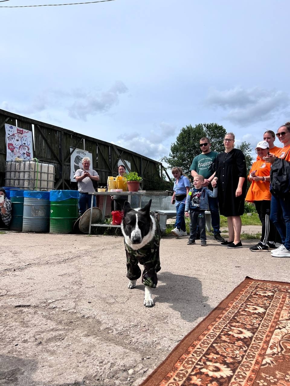 «Коридор» добра «Коридор» добра