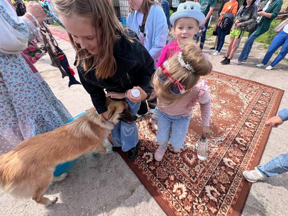 «Коридор» добра «Коридор» добра