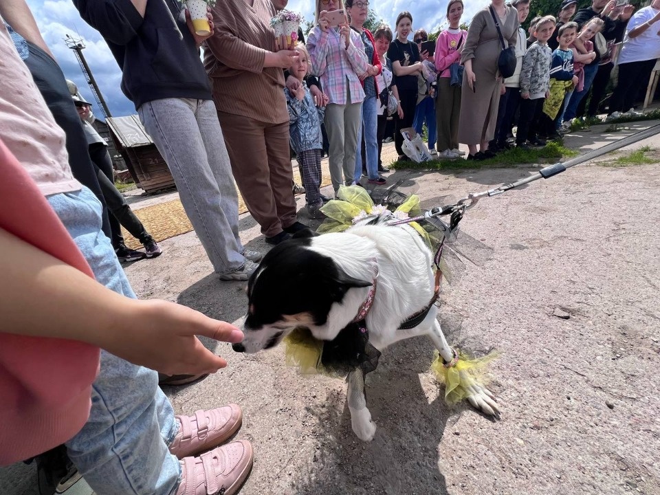 «Коридор» добра «Коридор» добра