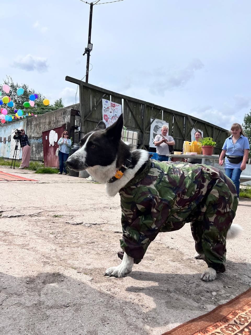 «Коридор» добра «Коридор» добра