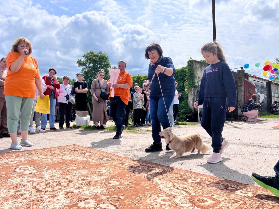 «Коридор» добра «Коридор» добра