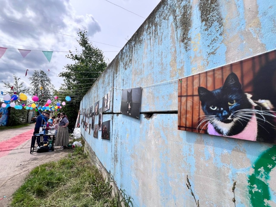 «Коридор» добра «Коридор» добра