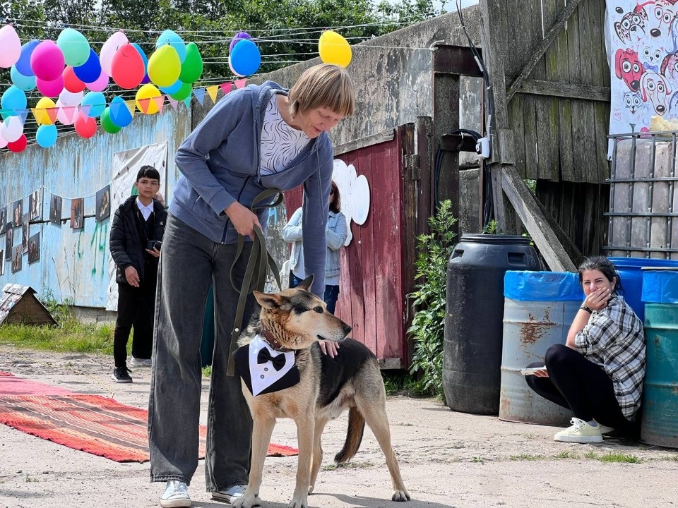«Коридор» добра «Коридор» добра