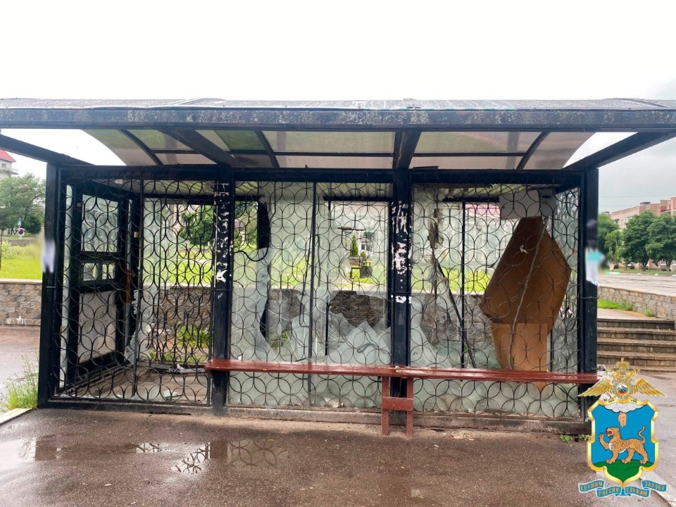 Полиция раскрыла акт вандализма в Новосокольниках Полиция раскрыла акт вандализма в Новосокольниках