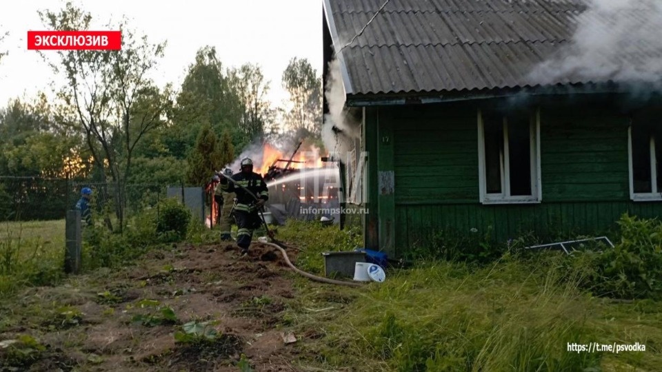 В Невельском районе женщина с кошкой спаслись из горящего дома В Невельском районе женщина с кошкой спаслись из горящего дома