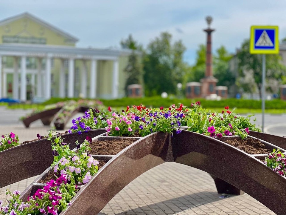 Более 150 тысяч цветов высадят на летний период в Пскове Более 150 тысяч цветов высадят на летний период в Пскове