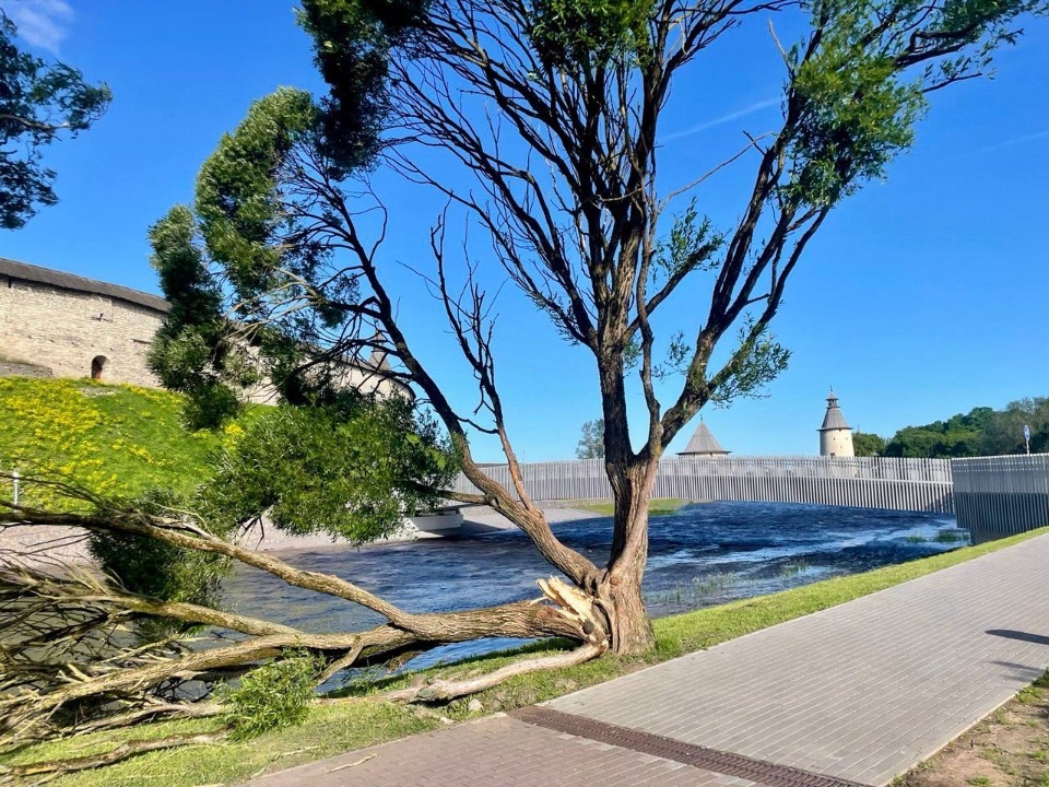 Более 20 тысяч человек остаются без света в Псковской области 