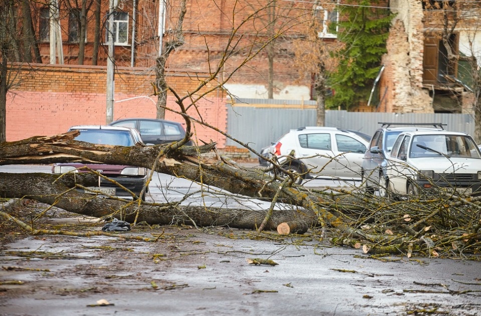 Почему Псковскую область накрыл штормовой ветер, объяснили в гидрометцентре Почему Псковскую область накрыл штормовой ветер, объяснили в гидрометцентре