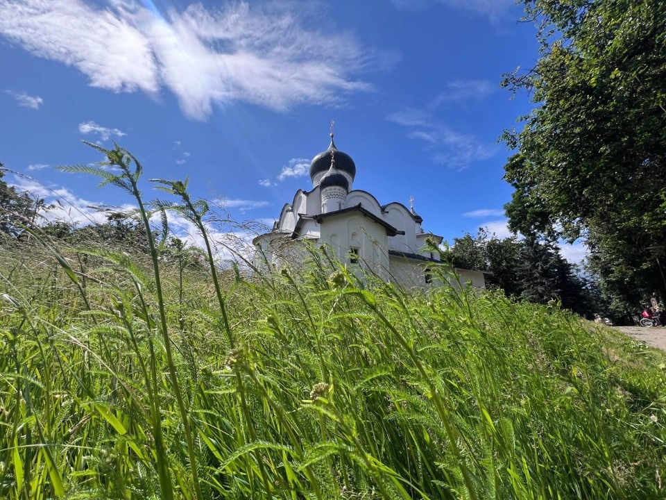  Глава Пскова рассказал, почему возникли проблемы с покосом травы 