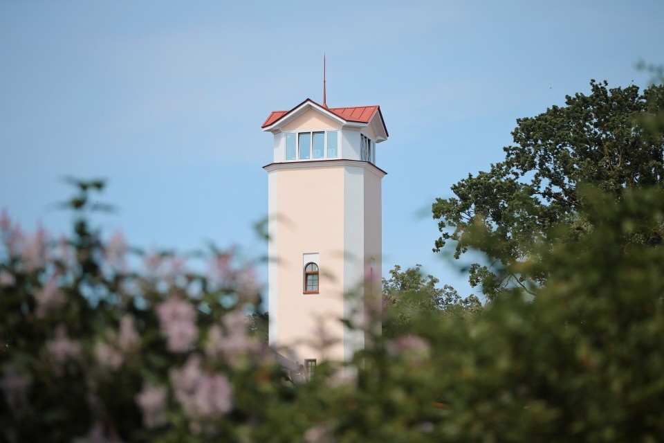 До +23 градусов ожидается в Псковской области 1 июля